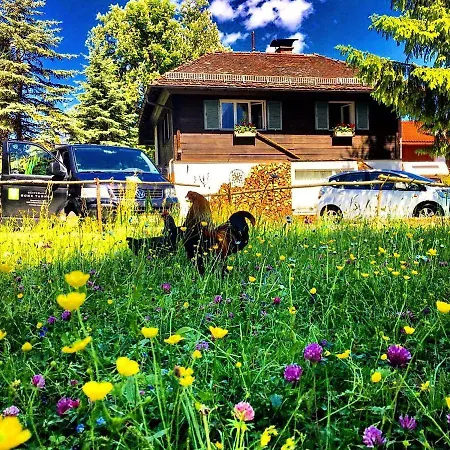 Gaestehaus Hohe Tannen Guest house