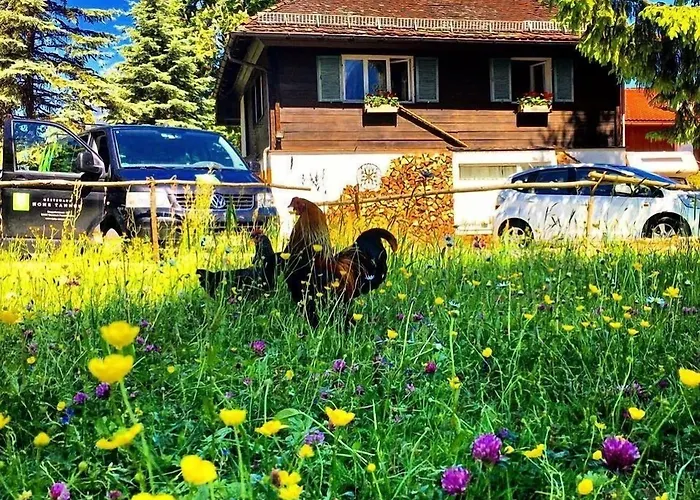 Guest house Gaestehaus Hohe Tannen Garmisch-Partenkirchen